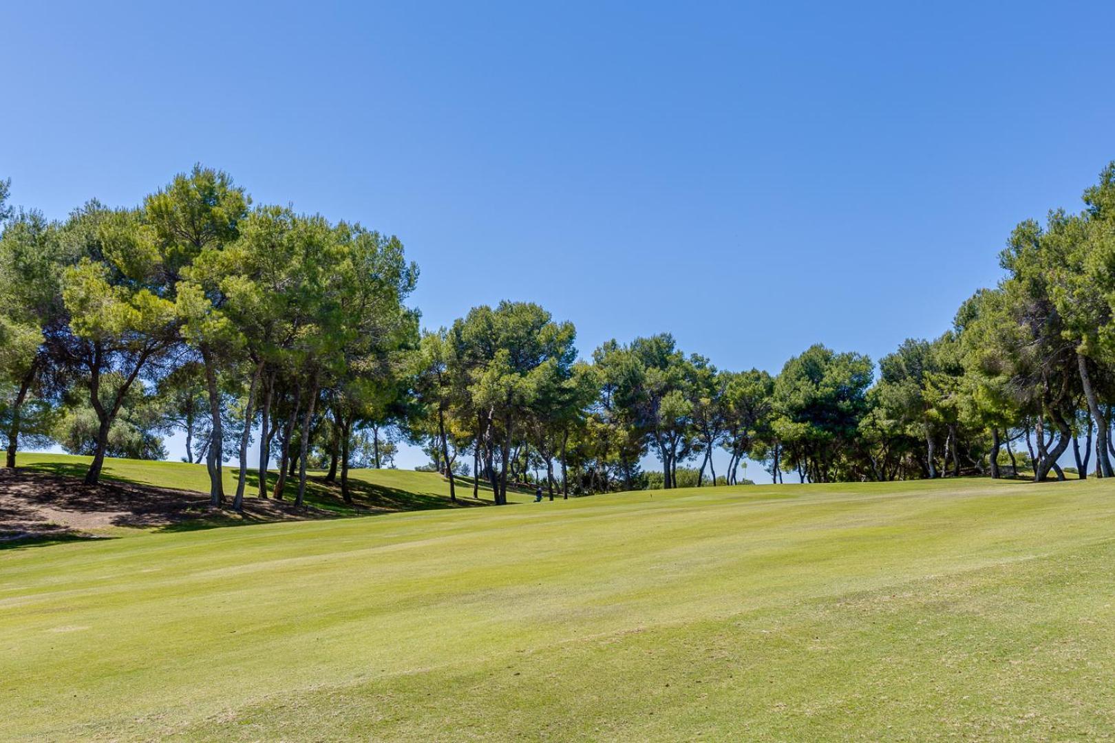 Super Cosy House Next To The Golf Villa Orihuela Exterior foto